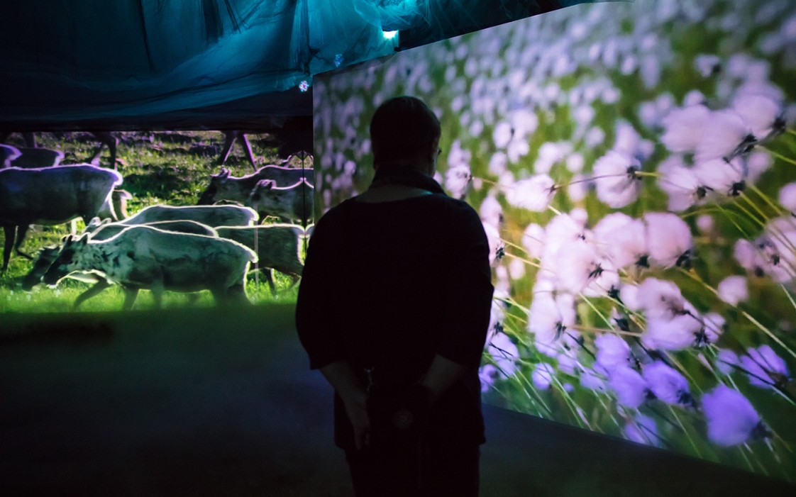 Person looking at projection flowers